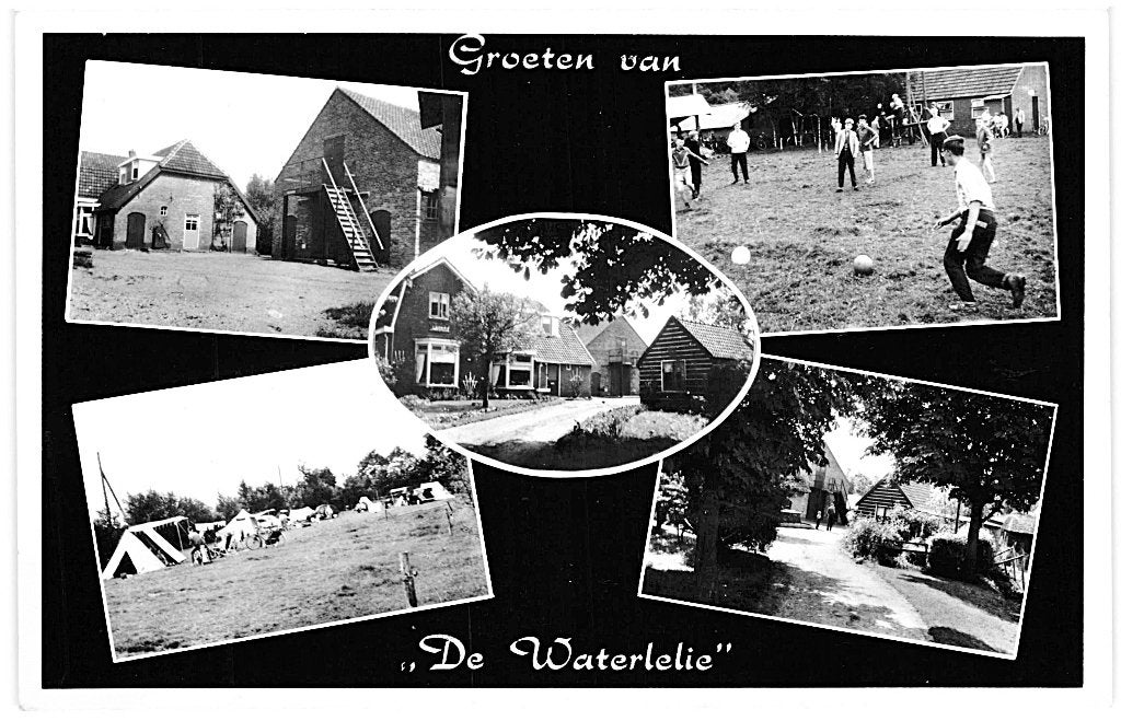 970215	Hulshorst	Hierden	De Waterlelie	1969	Onbeschreven, Ophalen of Verzenden, 1960 tot 1980, Ongelopen, Gelderland