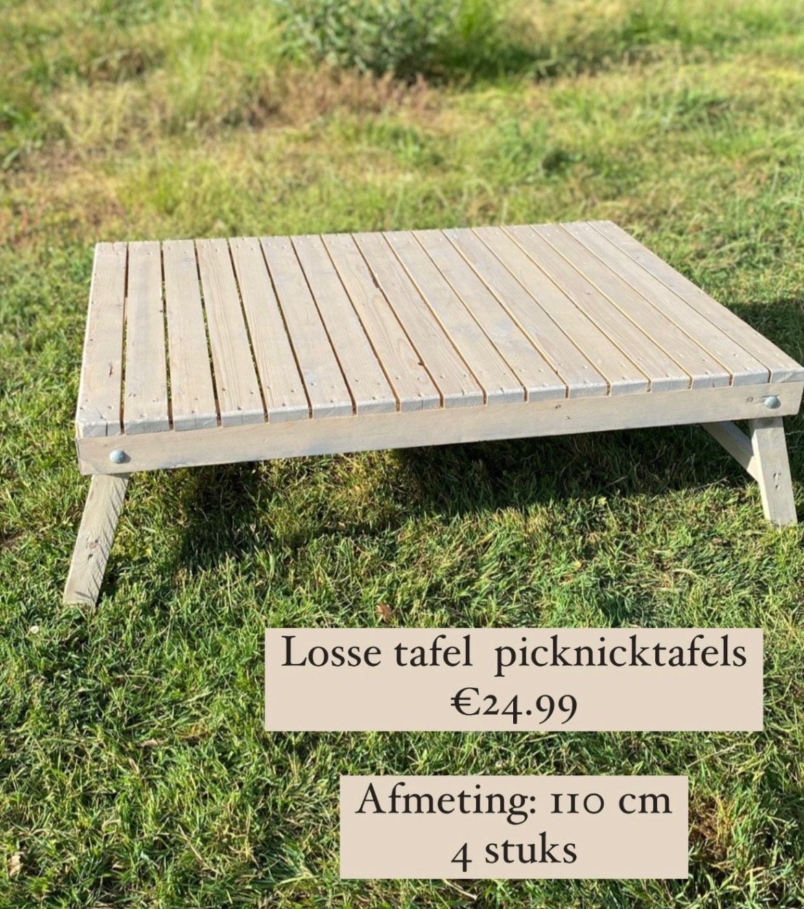 Picknicktafel te huur - inclusief decoratie, Ophalen of Verzenden, Gebruikt, Rechthoekig, Hout
