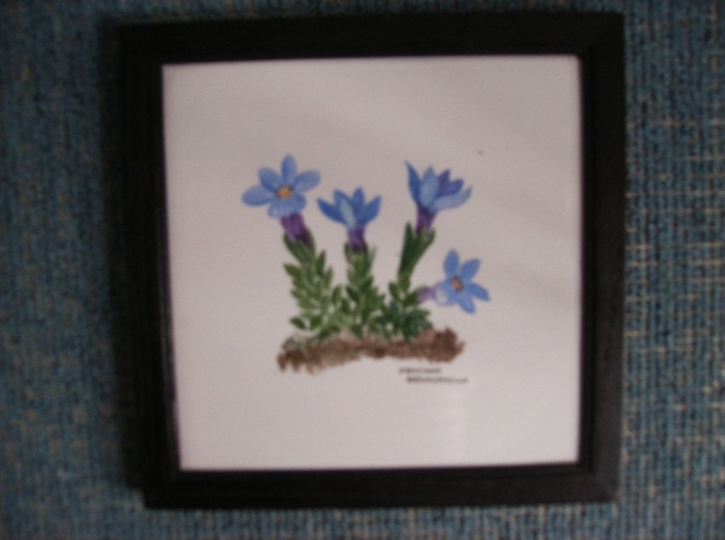 GENTIAAN,   GESCHILDERD WIT TEGELTJE,   INGELIJST, Antiek en Kunst, Ophalen of Verzenden