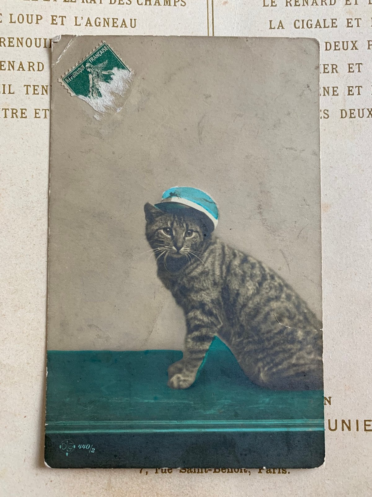 Poes met hoedje (EL), Ophalen of Verzenden, Voor 1920, Gelopen, Hond of Kat