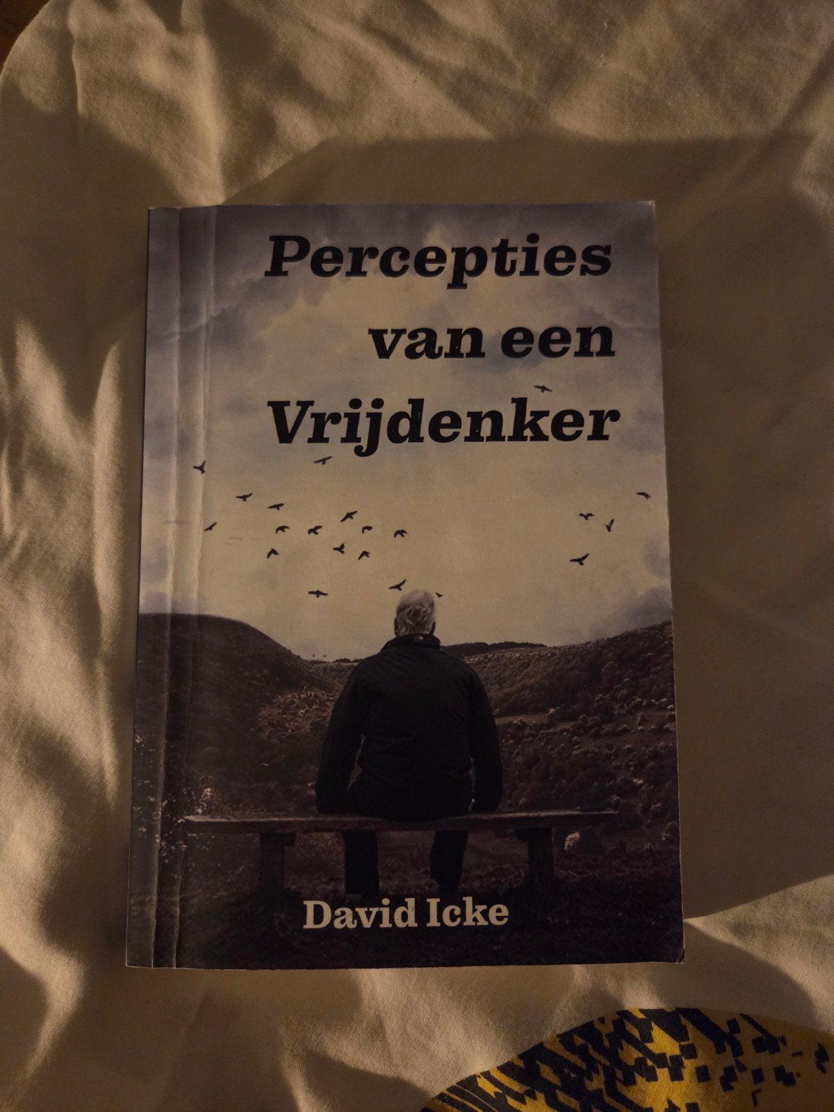 David Icke - Percepties van een Vrijdenker, Ophalen of Verzenden, Zo goed als nieuw
