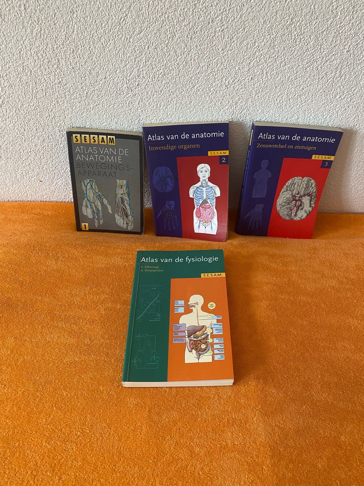 Medische boeken: Anatomie, Fysiologie, Pathologie, Ophalen, Gamma, Zo goed als nieuw, HBO