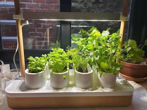 Auk Mini, Ophalen, Minder dan 30 cm, Rond, Zo goed als nieuw