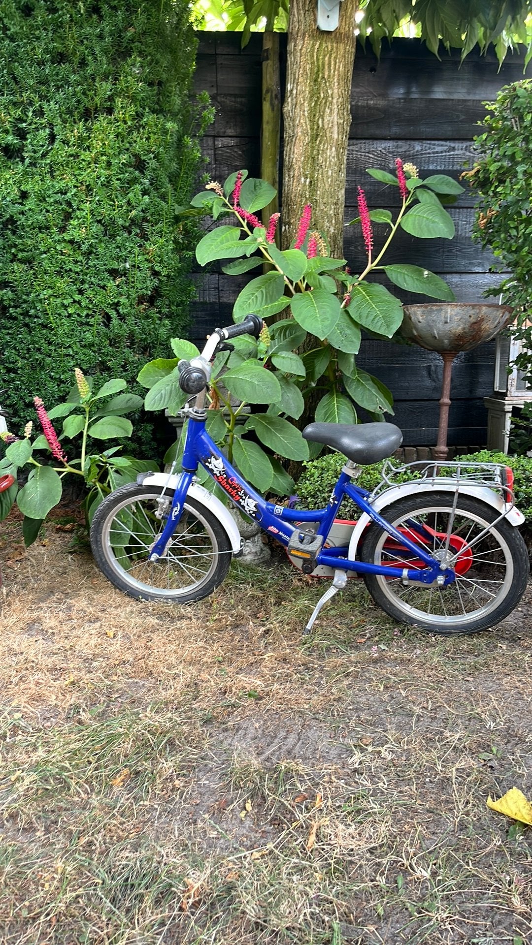 Kinderfiets, Fietsen en Brommers, Fietsen | Kinderfietsjes, Ophalen, Gebruikt, Minder dan 16 inch
