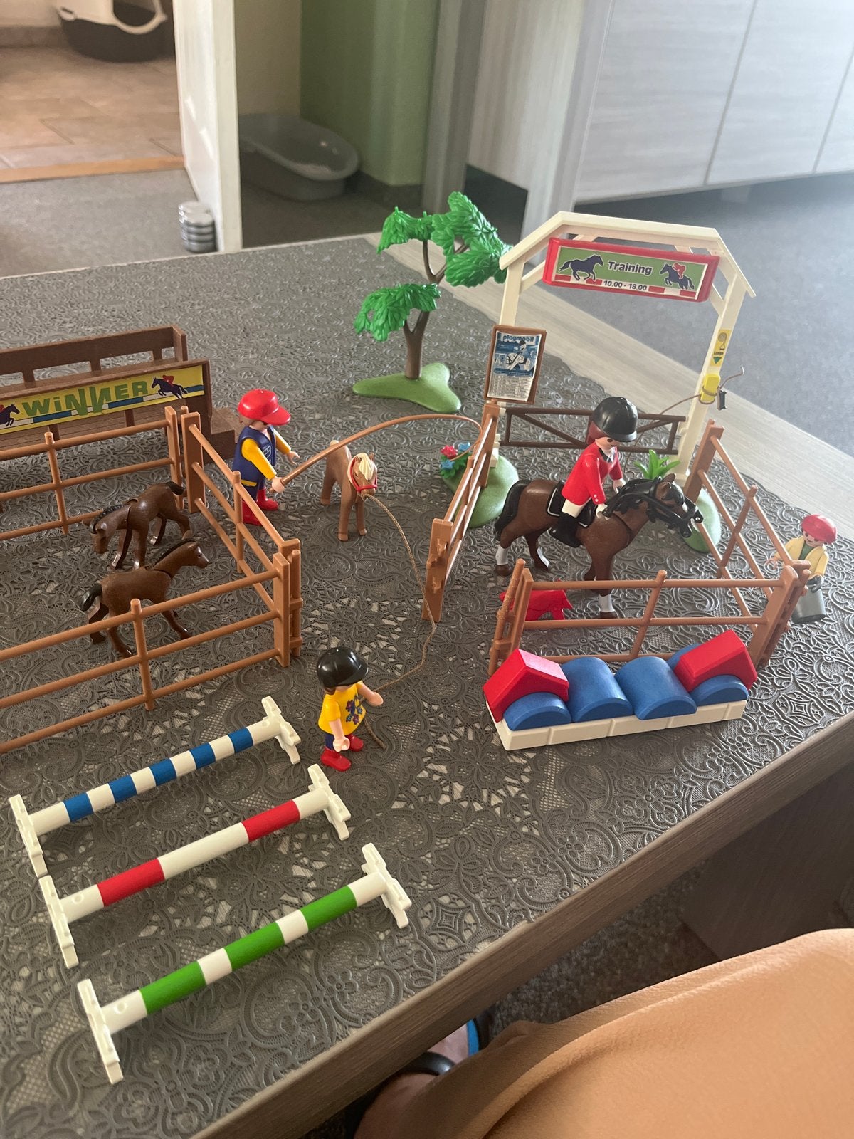 Playmobil Paardenmanege Set met Hindernissen en Figuren, Complete set, Overige typen, Ophalen of Verzenden, Zo goed als nieuw