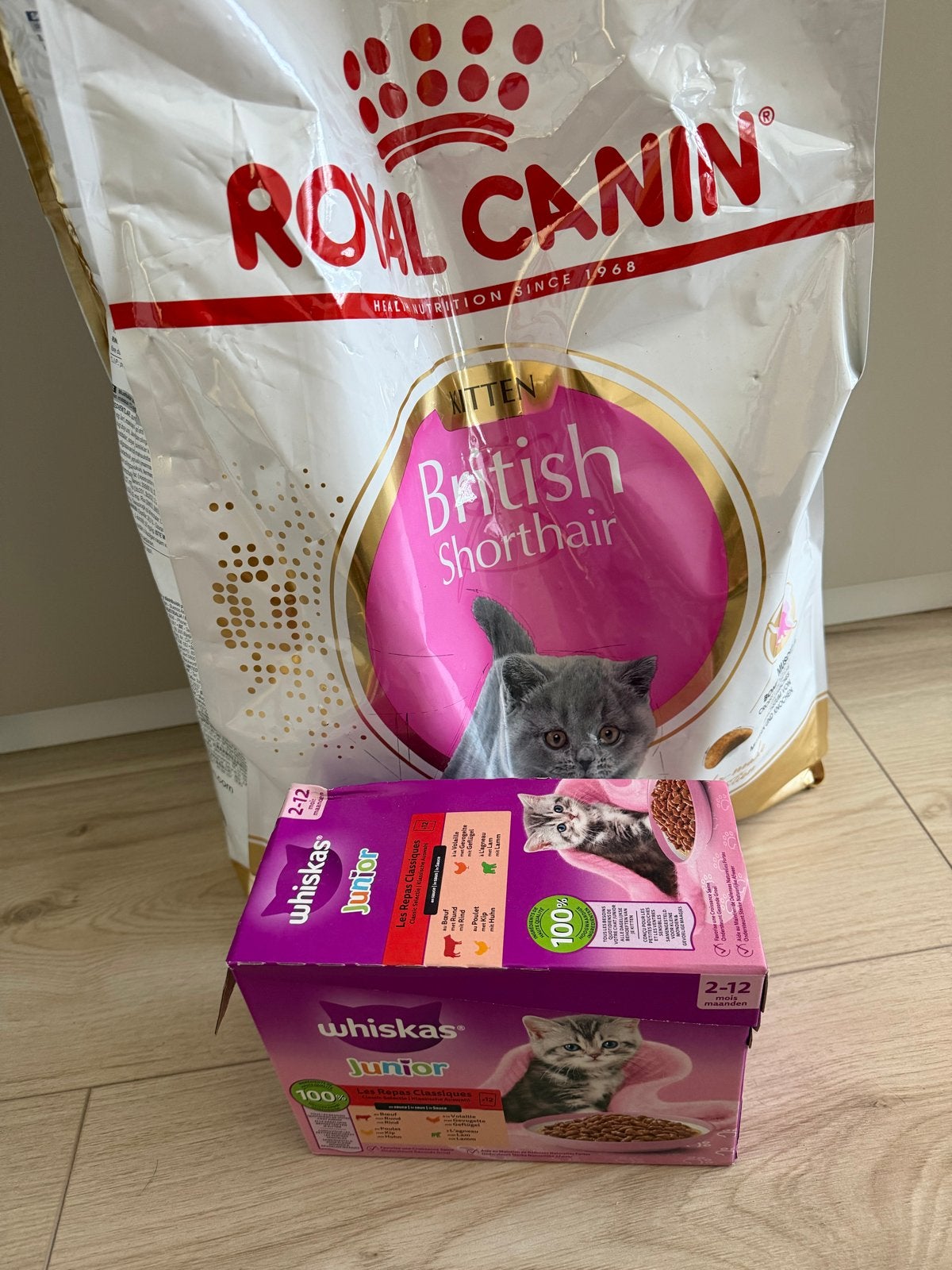 Royal Canin British shorthair en natte voer voor kitten., Ophalen, Kat
