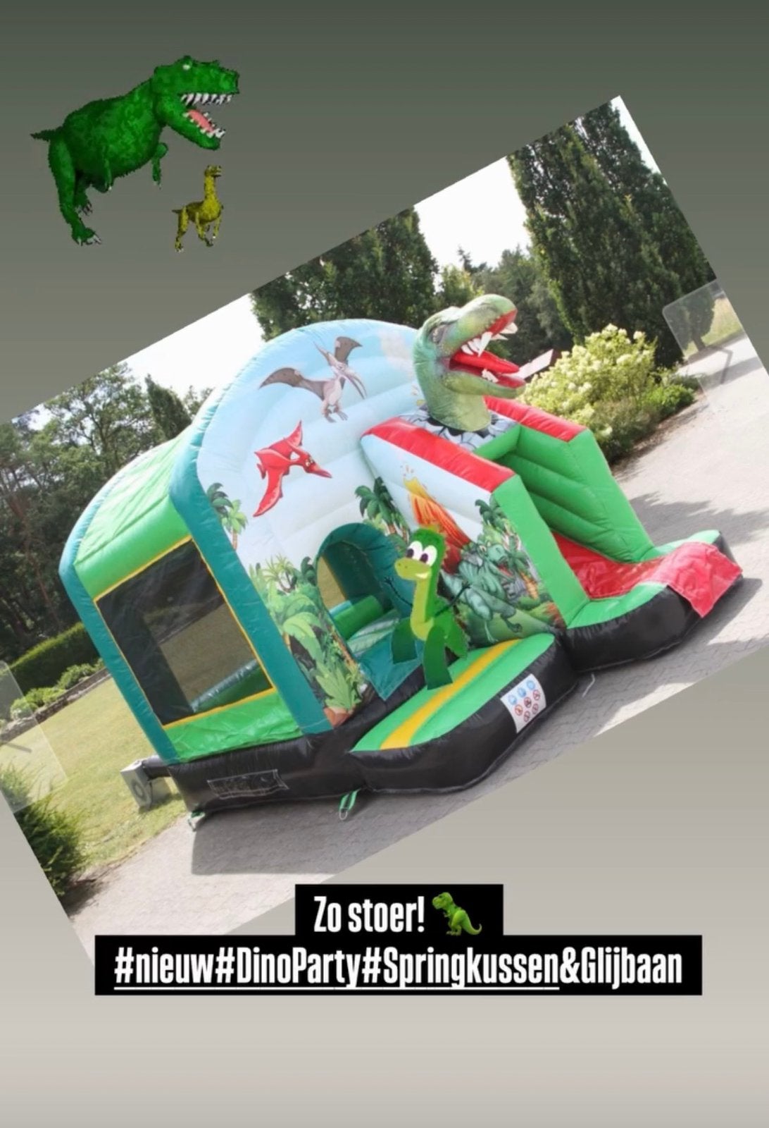 Springkussen Dino te huur- huren, Ophalen of Verzenden, Zo goed als nieuw, Overige