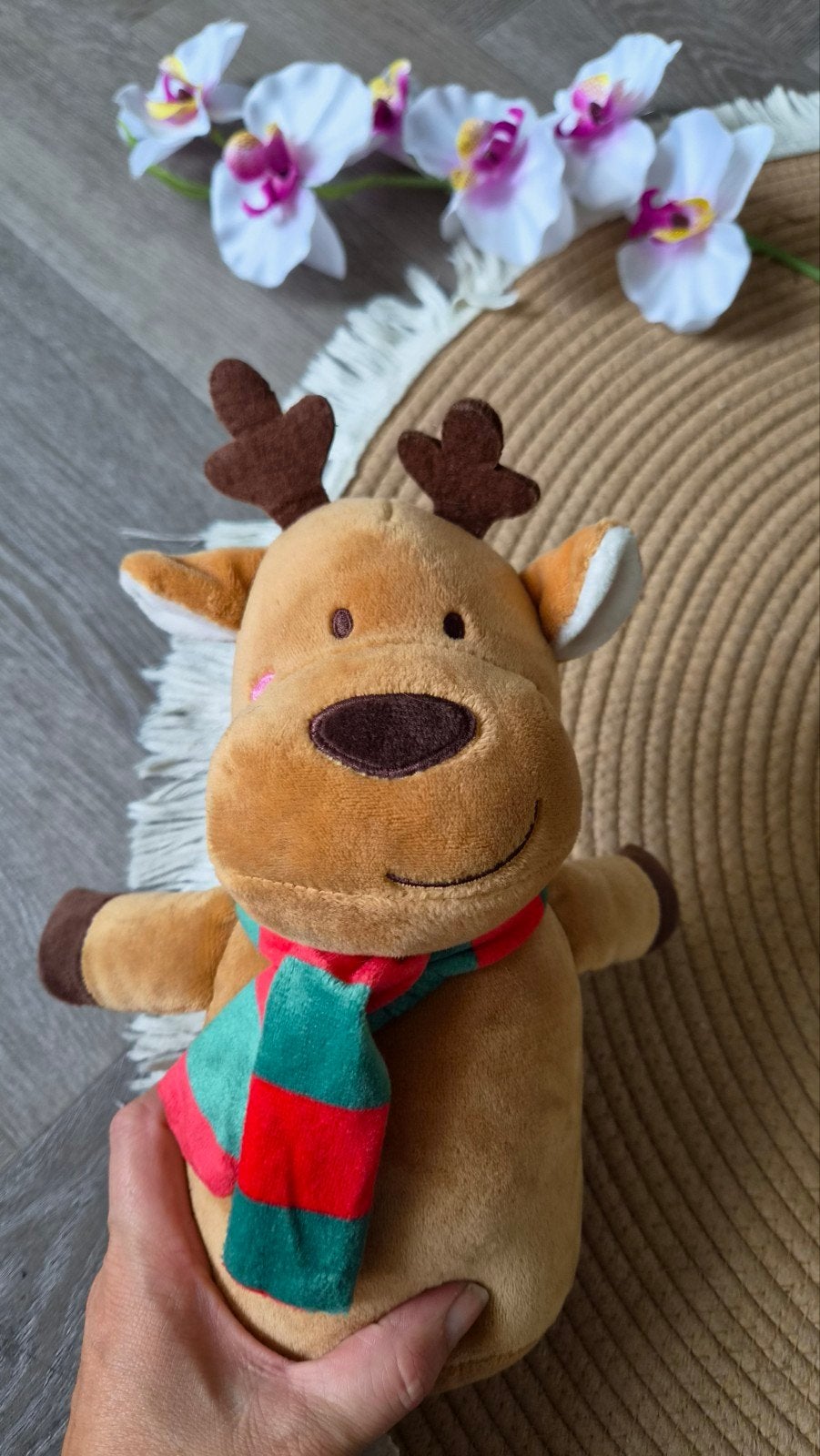 Leuke rendier knuffel met sjaal, Overige typen, Ophalen of Verzenden, Zo goed als nieuw, Middelgroot (20 tot 80 cm)