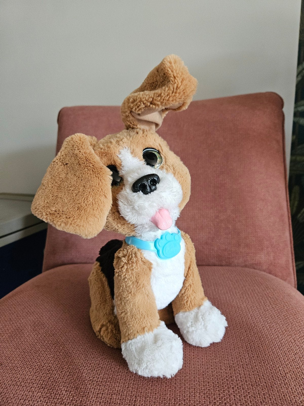 FurReal Friends Interactief Hondje - Knuffel met Geluid, Overige merken, Overige karakters, Zo goed als nieuw, Middelgroot (20 tot 80 cm)