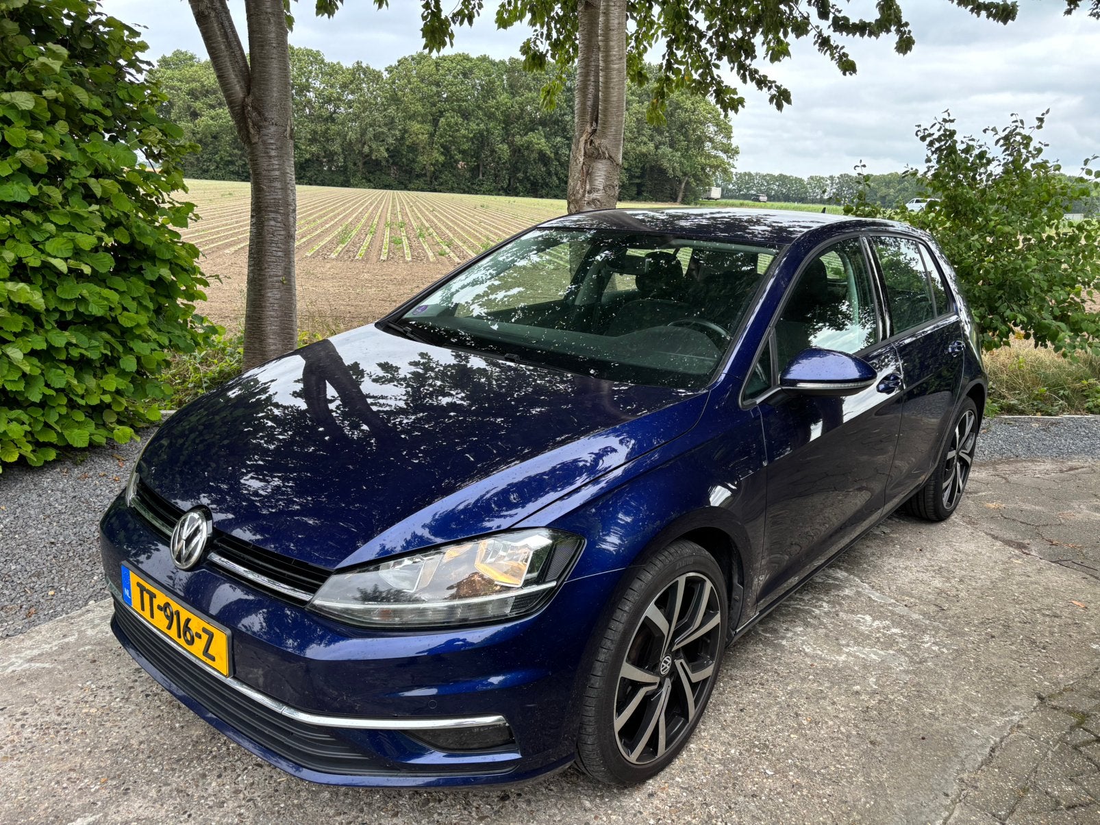 Volkswagen Golf 1.0 TSI 115pk Bluemotion 5D 2018 Blauw, Voorwielaandrijving, Stof, Zwart, 1165 kg