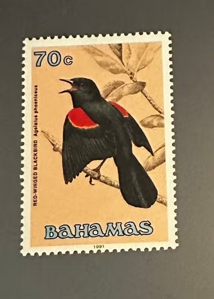 Bahamas 1991 postfris vogels - Spreeuw (Red-Winged Blac, Ophalen of Verzenden, Postfris, Midden-Amerika