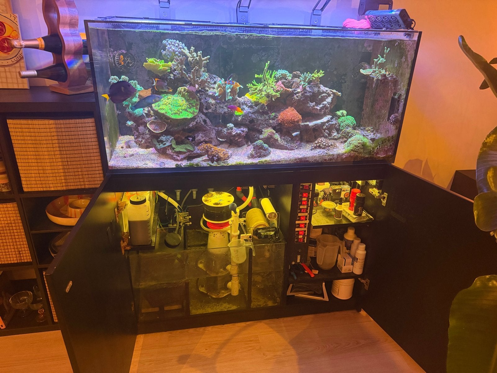 Red Sea Reefer 350 (leeg), Dieren en Toebehoren, Ophalen, Gebruikt, Leeg aquarium, Red Sea