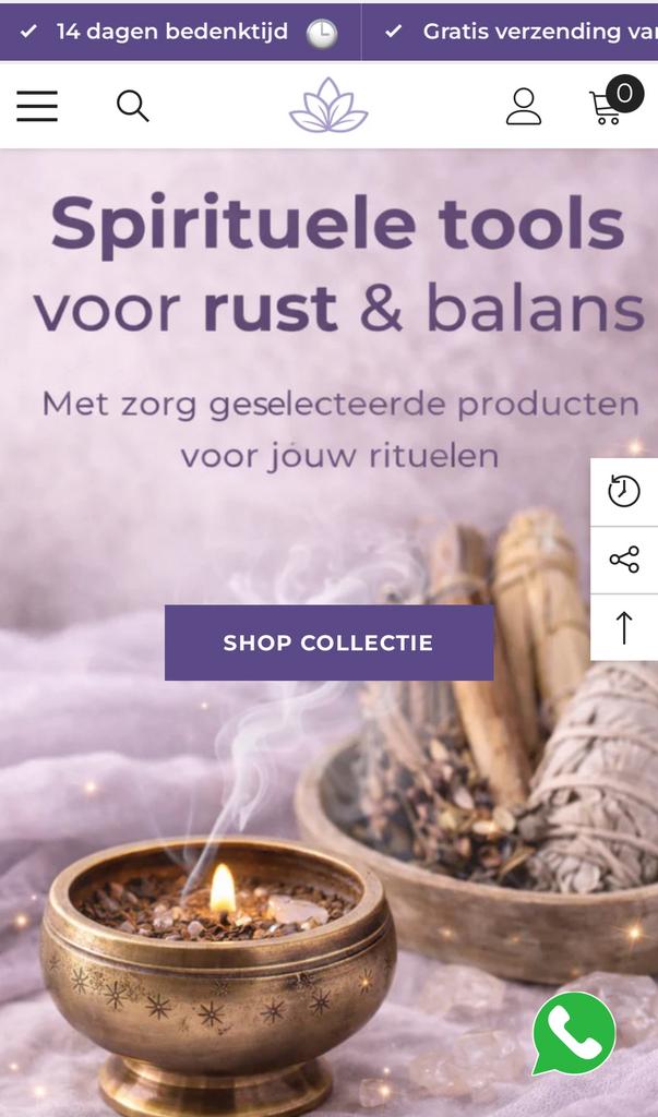 Shopify Webshop op maat, Ophalen of Verzenden, Zo goed als nieuw