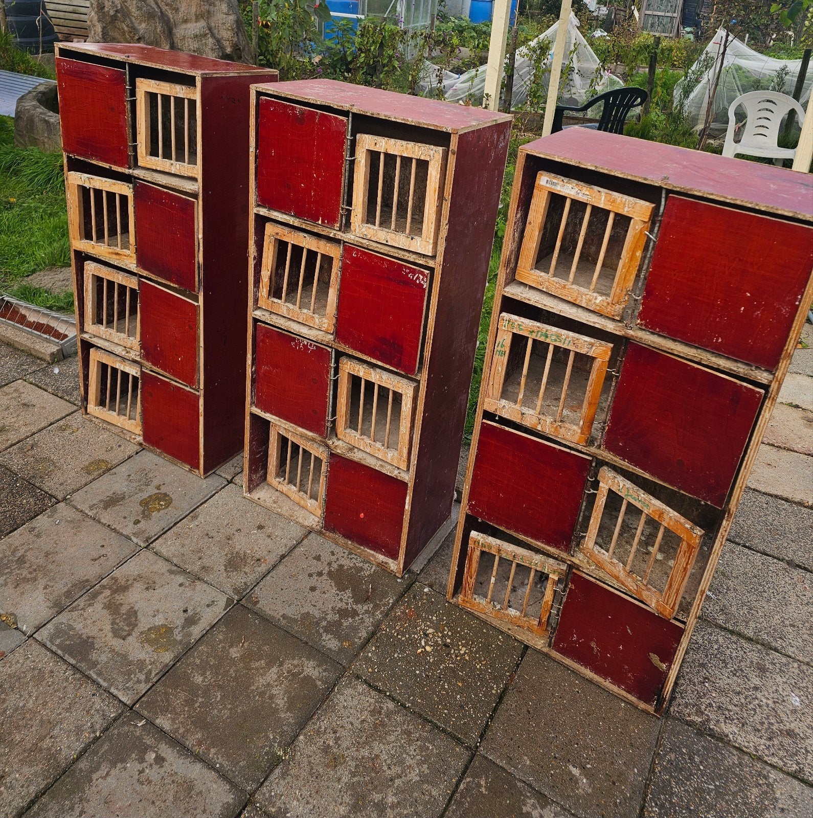 Te koop, Dieren en Toebehoren