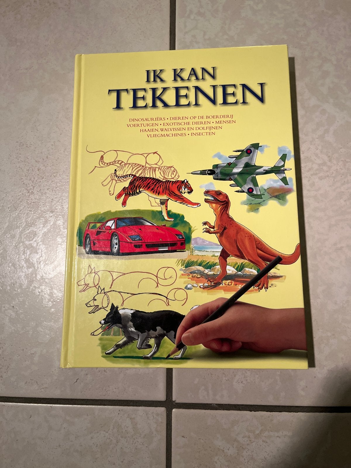 Ik Kan Tekenen: Dieren, Voertuigen, Mensen & Meer, Ophalen of Verzenden, Gebruikt, Knutselen