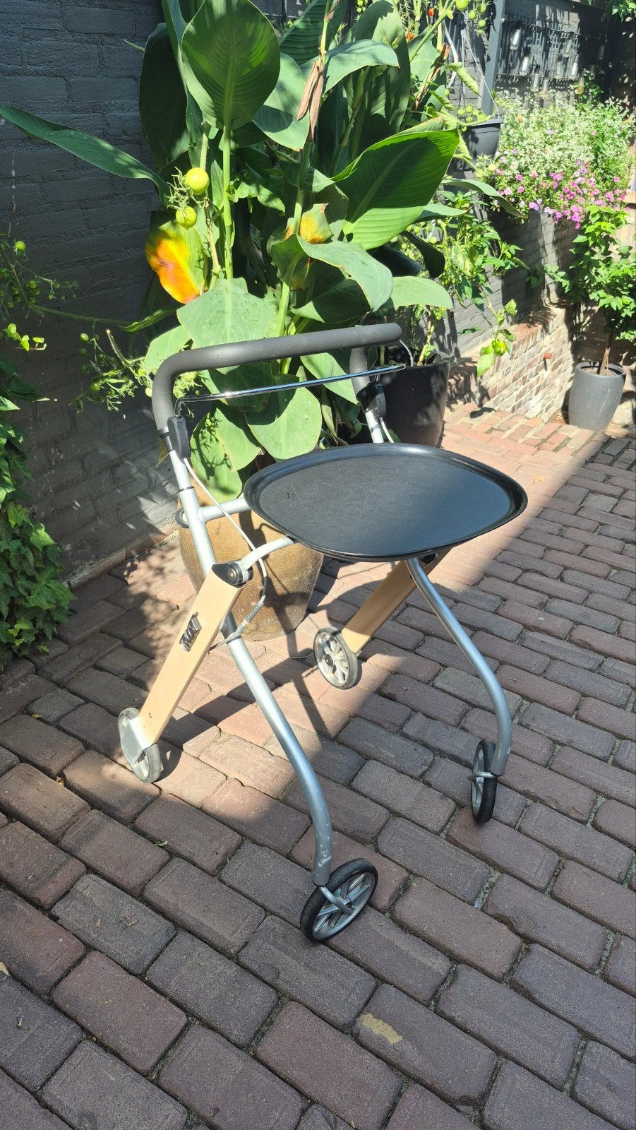 TRUST CARE rollator indoor, Ophalen, Opvouwbaar, Gebruikt