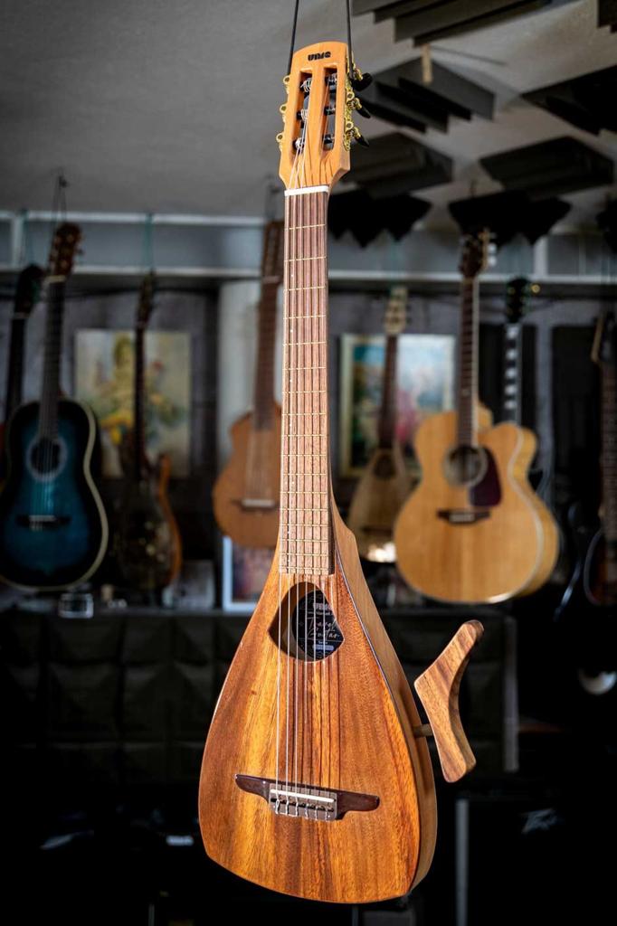 Electroacoustic Travel Guitar, Muziek en Instrumenten, Ophalen of Verzenden, Zo goed als nieuw, Overige typen, Met koffer