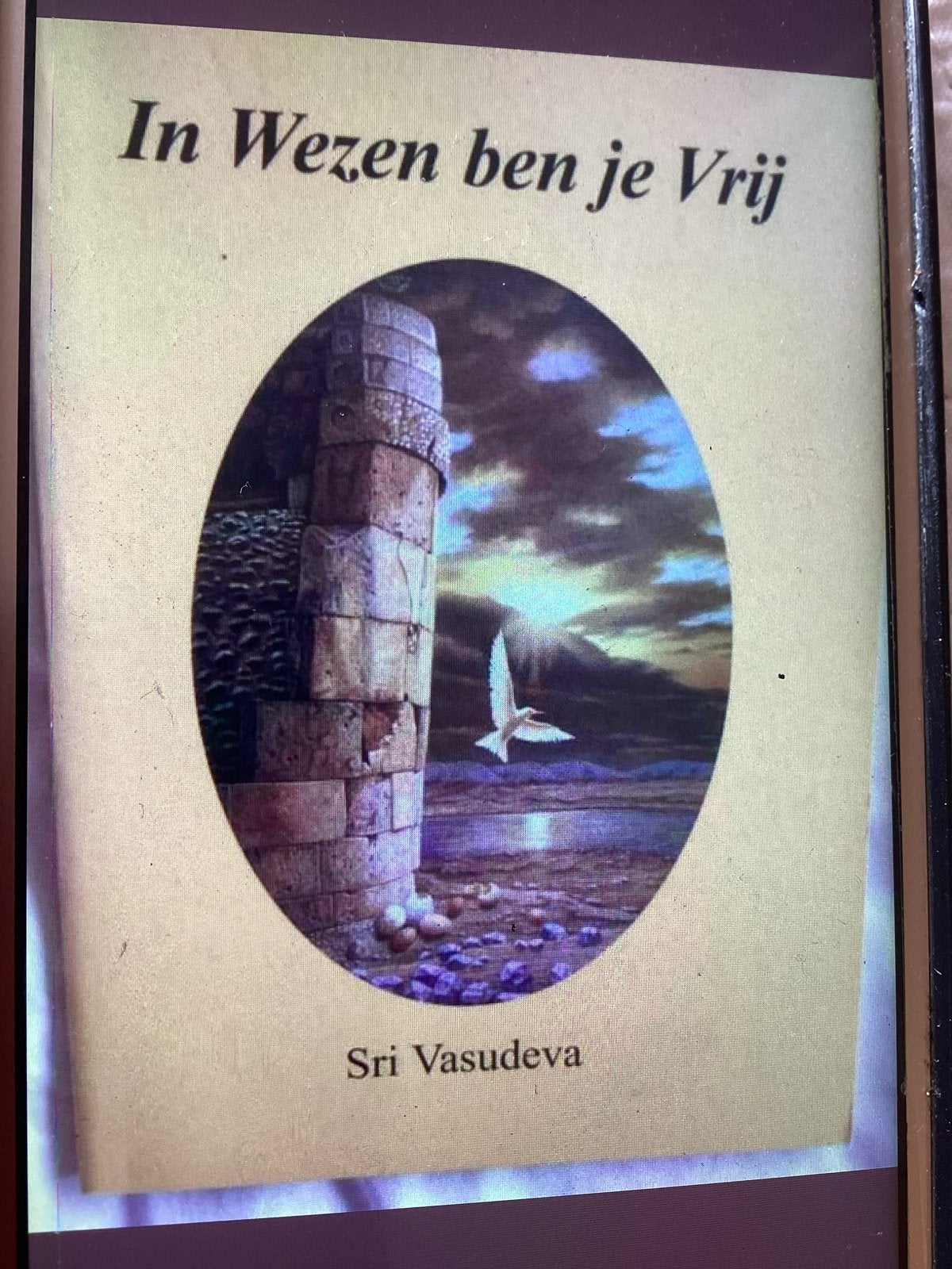 In Wezen ben je Vrij - Sri Vasudeva, Boeken, Achtergrond en Informatie, Spiritualiteit algemeen, Ophalen of Verzenden, Zo goed als nieuw