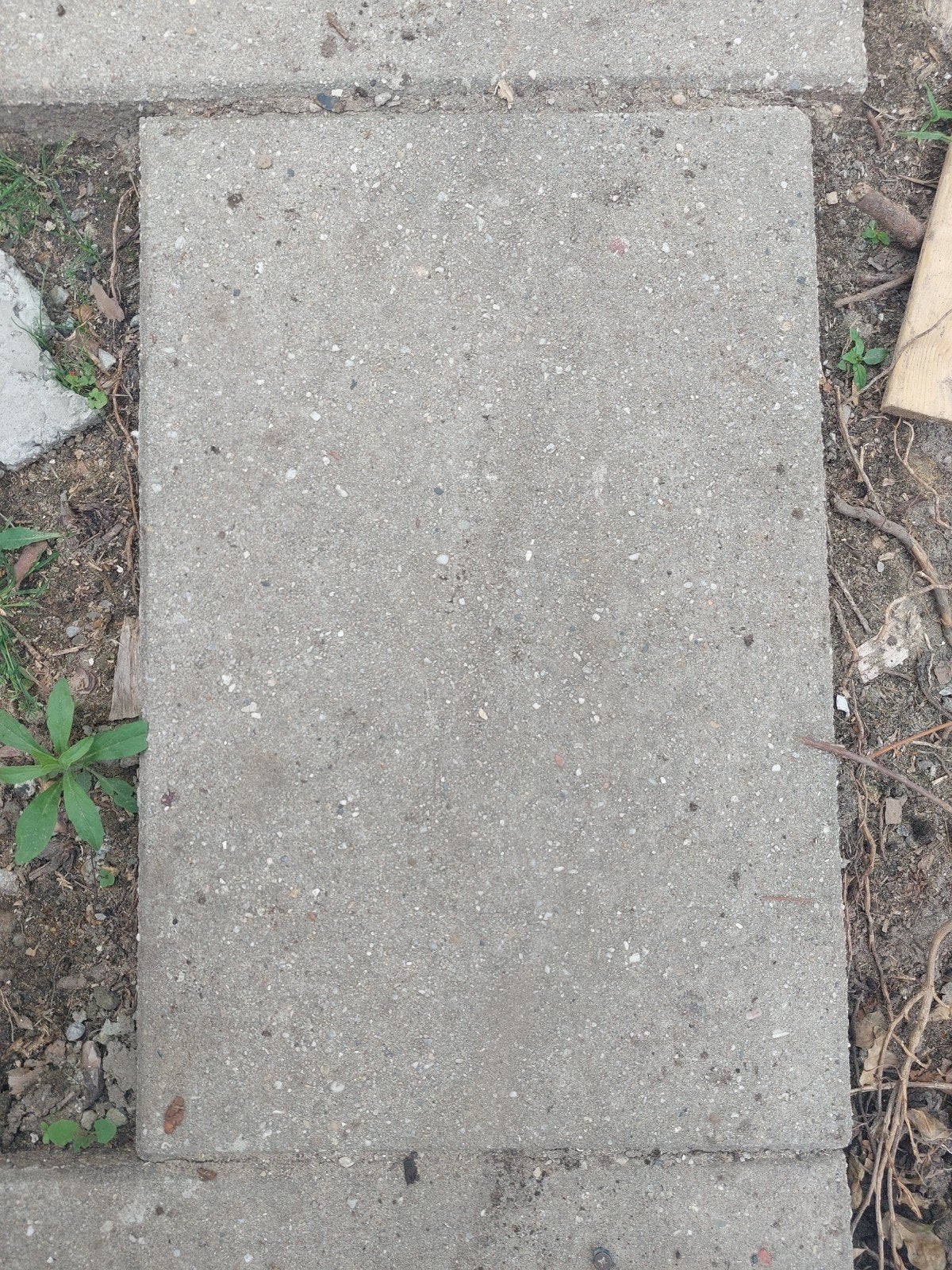 Gratis af te halen: 2 soorten tegels (40x60 cm), Tuin en Terras, Ophalen, Gebruikt, Minder dan 5 m², Beton