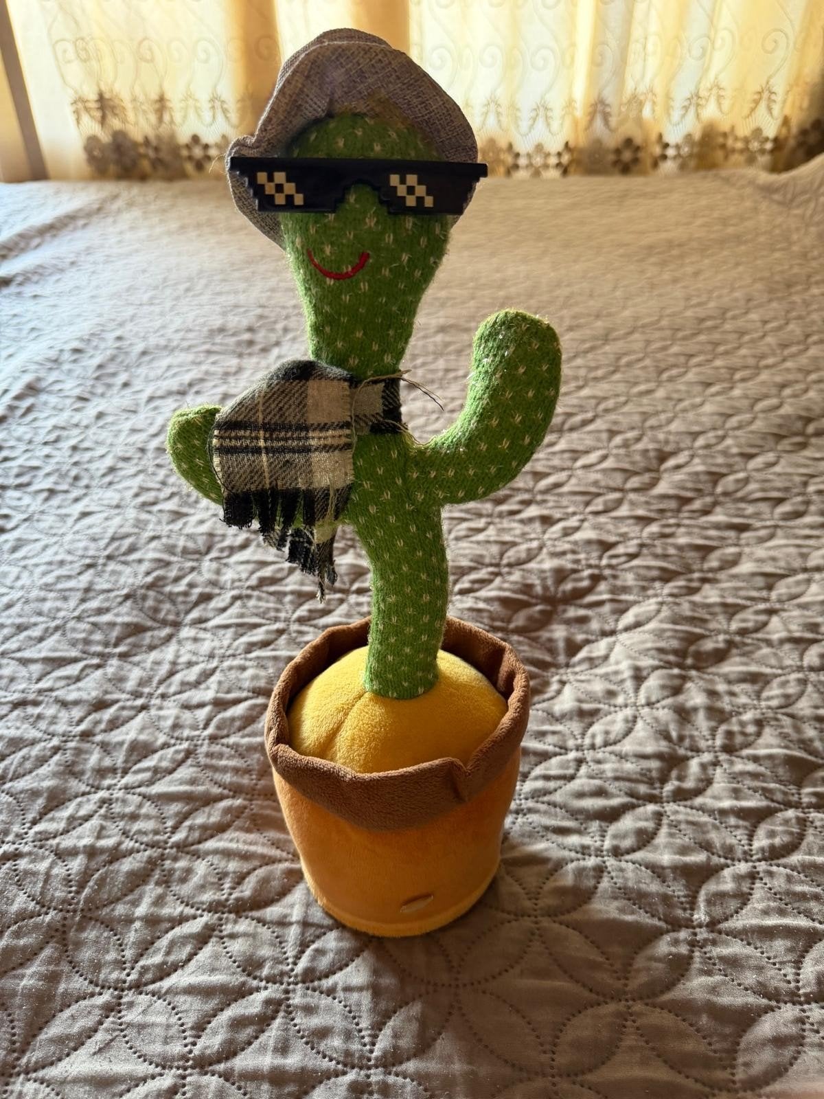 Dansende en zingende cactus met lichtjes, Ophalen of Verzenden, Zo goed als nieuw, Jongen of Meisje