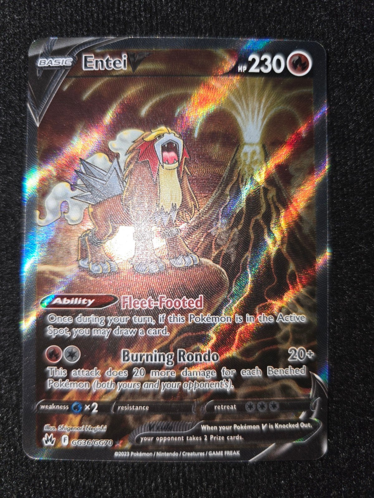 Foto 2 van entei v gg36