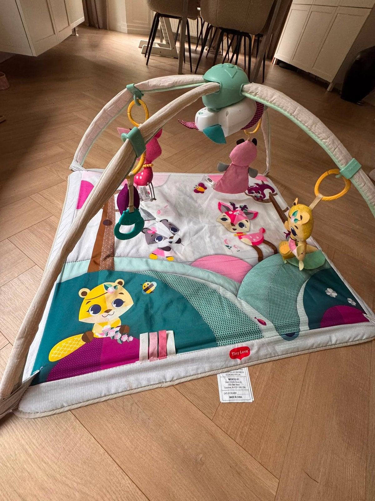 Babygym Tiny love, Ophalen, Gebruikt