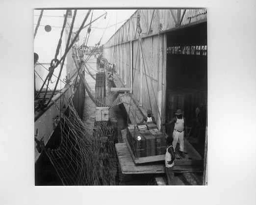 scheepvaart-foto-tiberius-KNSM-west indies-suriname?-, Ophalen of Verzenden, Zo goed als nieuw, Motorboot, Boek of Tijdschrift