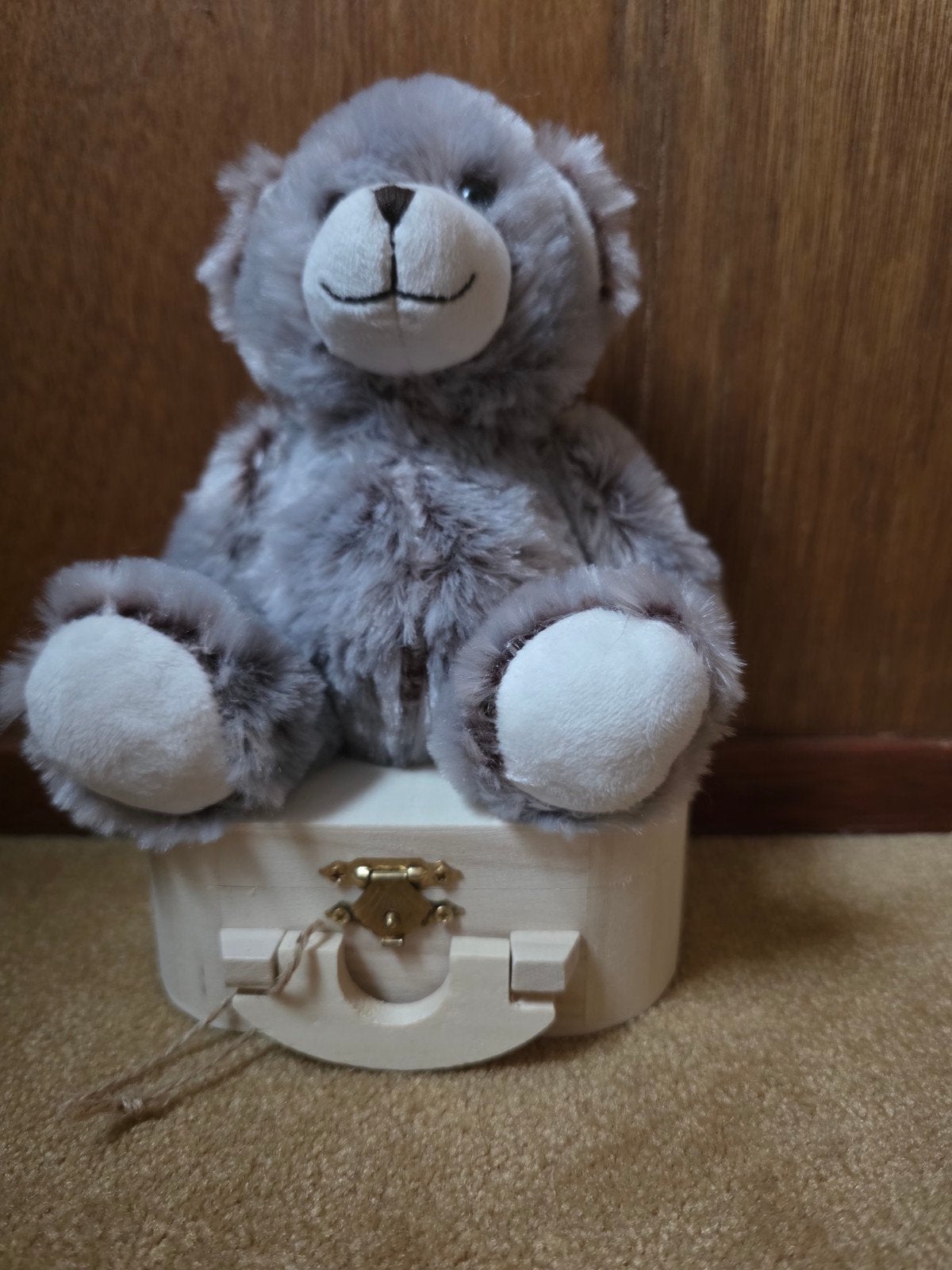 Bon Ton Toys teddybeertje beer knuffel, Ophalen of Verzenden, Zo goed als nieuw, Stoffen beer, Overige merken