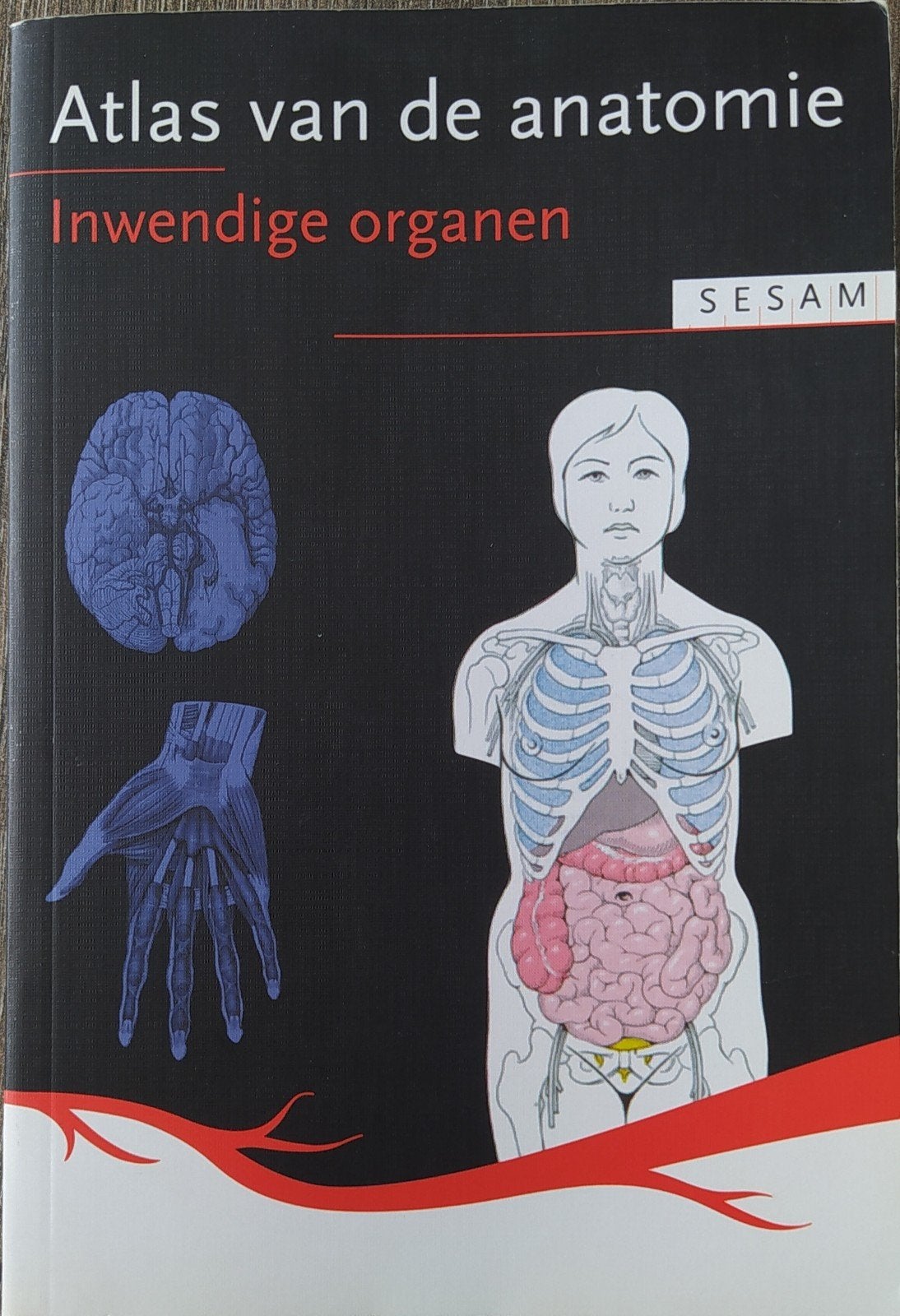 Atlas van de Anatomie: Inwendige Organen (Deel 2) Sesam, Boeken, Studieboeken en Cursussen, Zo goed als nieuw, Helga Fritsch, Wolfgang Kühnel