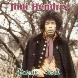 Jimi Hendrix, Ophalen of Verzenden, Gebruikt, Poprock