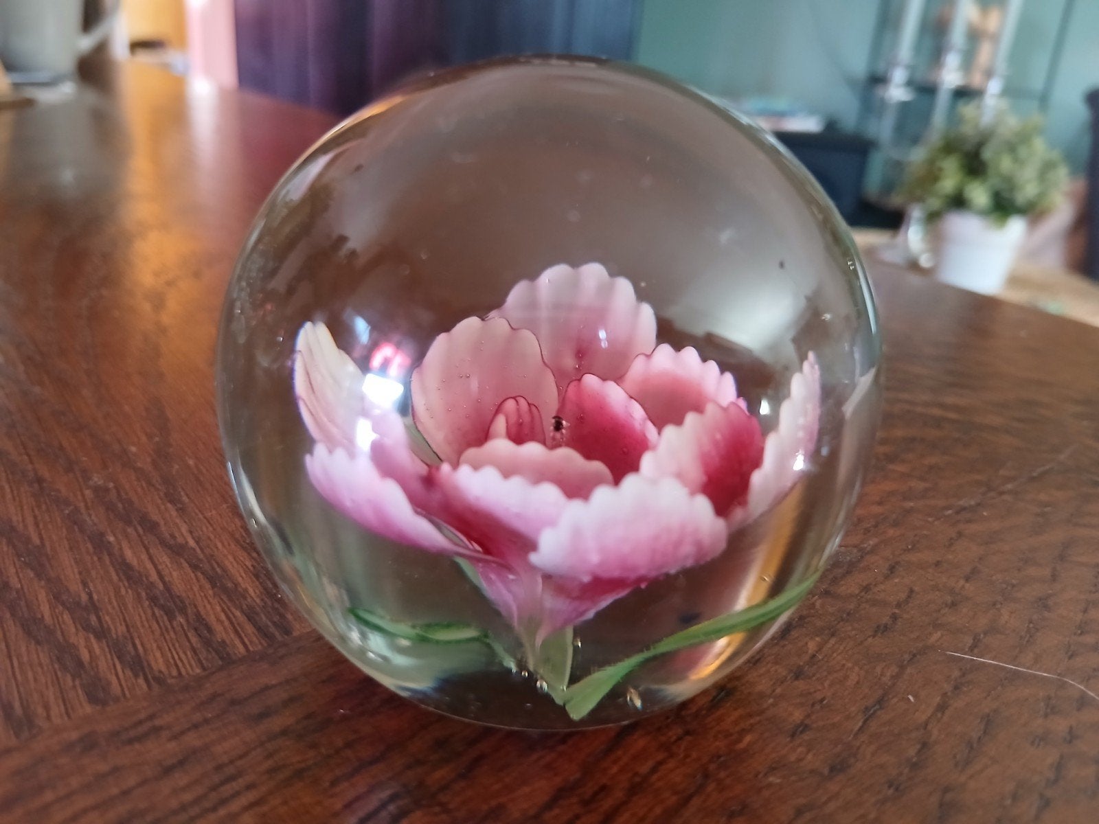 Glazen presse papier met roze bloem, Ophalen of Verzenden