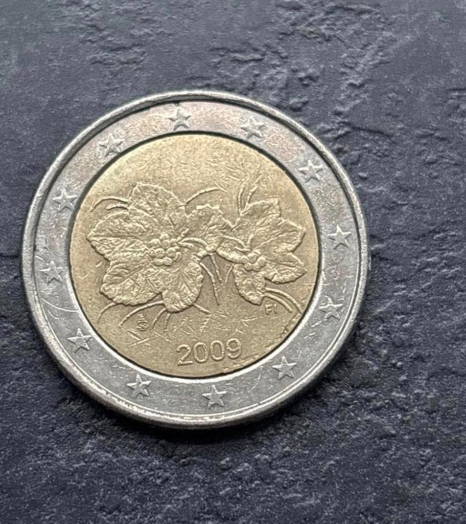 Finse 2 Euro Herdenkingsmunt 2009 - Autonoom Finland, Ophalen of Verzenden, Finland, 2 euro, Losse munt