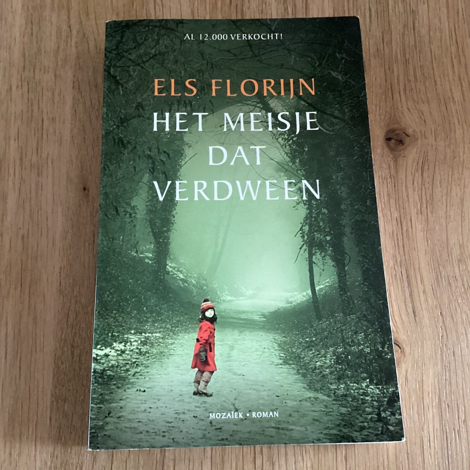 Het Meisje Dat Verdween - Els Florijn (Oorlogsroman WOII), Ophalen of Verzenden, Gelezen, Nederland