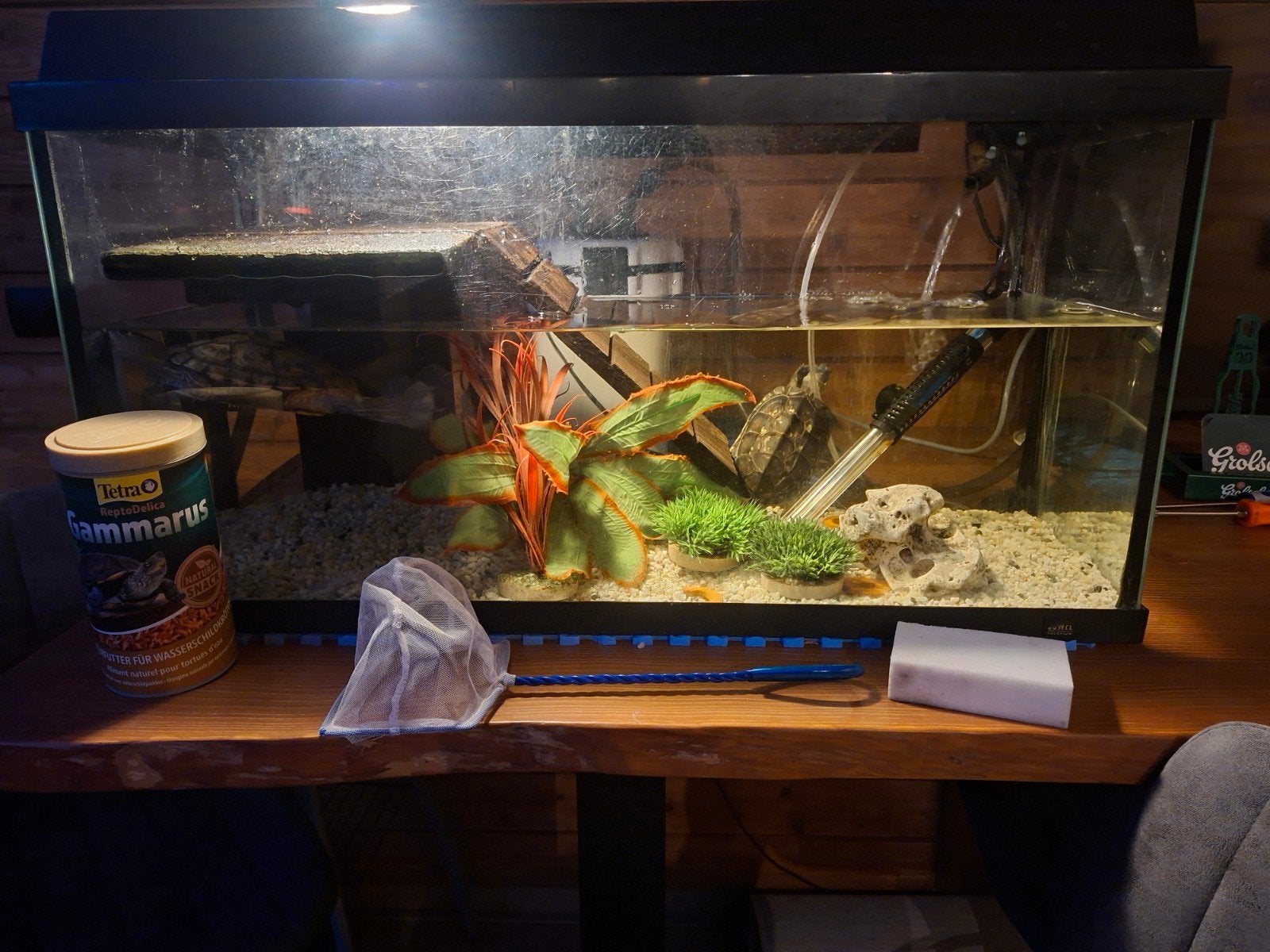juwel aquarium met 3 schildpadden en toebehoren, Dieren en Toebehoren, Ophalen, Gebruikt