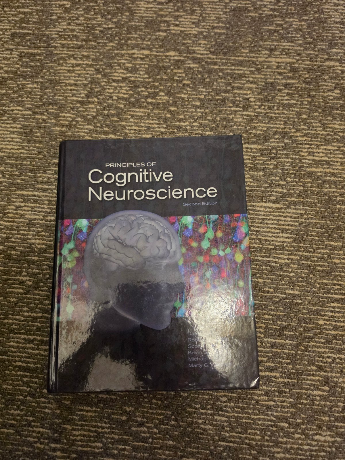 Principles of Cognitive Neuroscience - Tweede Editie, Boeken, Ophalen of Verzenden, Purves, Brannon, Cabeza, Huettel, LaBar, Platt, Woldorff