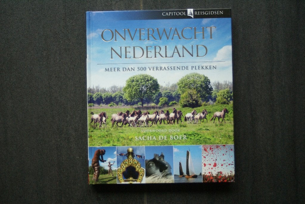 ONVERWACHT NEDERLAND: Meer dan 500 verrassende plekken, Boeken, Capitool, Europa, Ophalen of Verzenden, Zo goed als nieuw