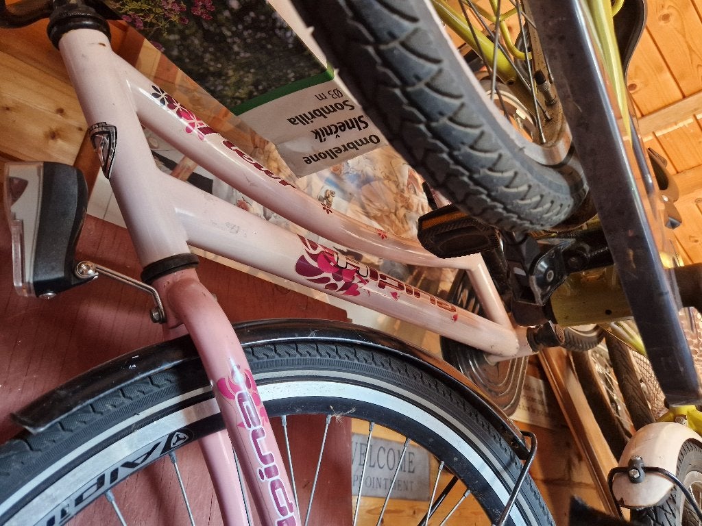 Fiets meisje Alpina fietsen 20 en 24 inch, Ophalen of Verzenden, Gebruikt, Terugtraprem, 24 inch