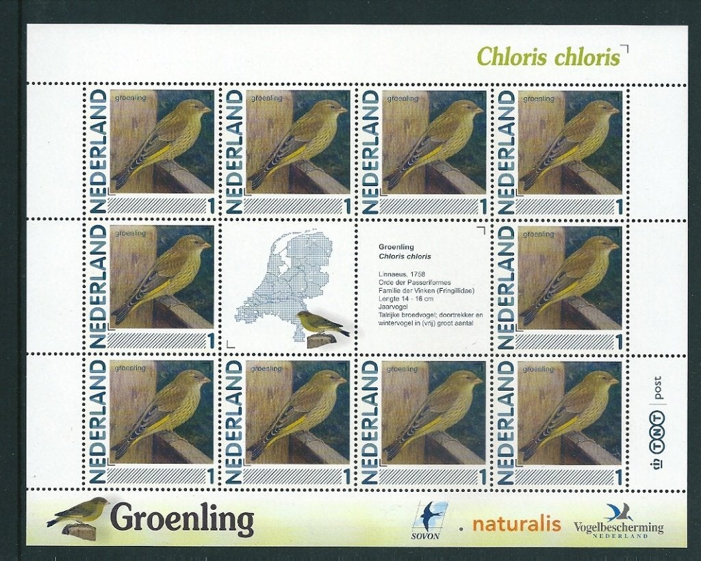 Vel persoonlijke zegels, Vogels Groenling postfris, Ophalen of Verzenden, Postfris
