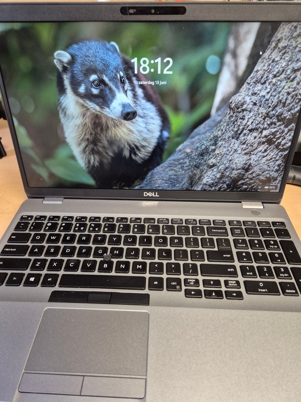 Dell Latitude 5520 i7-10850H 32GB RAM 238GB SSD, Computers en Software, Windows Laptops, Zo goed als nieuw, 15 inch, SSD, 2 tot 3 Ghz