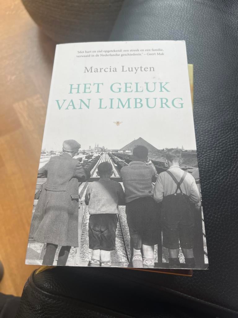 Marcia Luyten - Het geluk van Limburg, Boeken, Ophalen of Verzenden, Zo goed als nieuw, Marcia Luyten