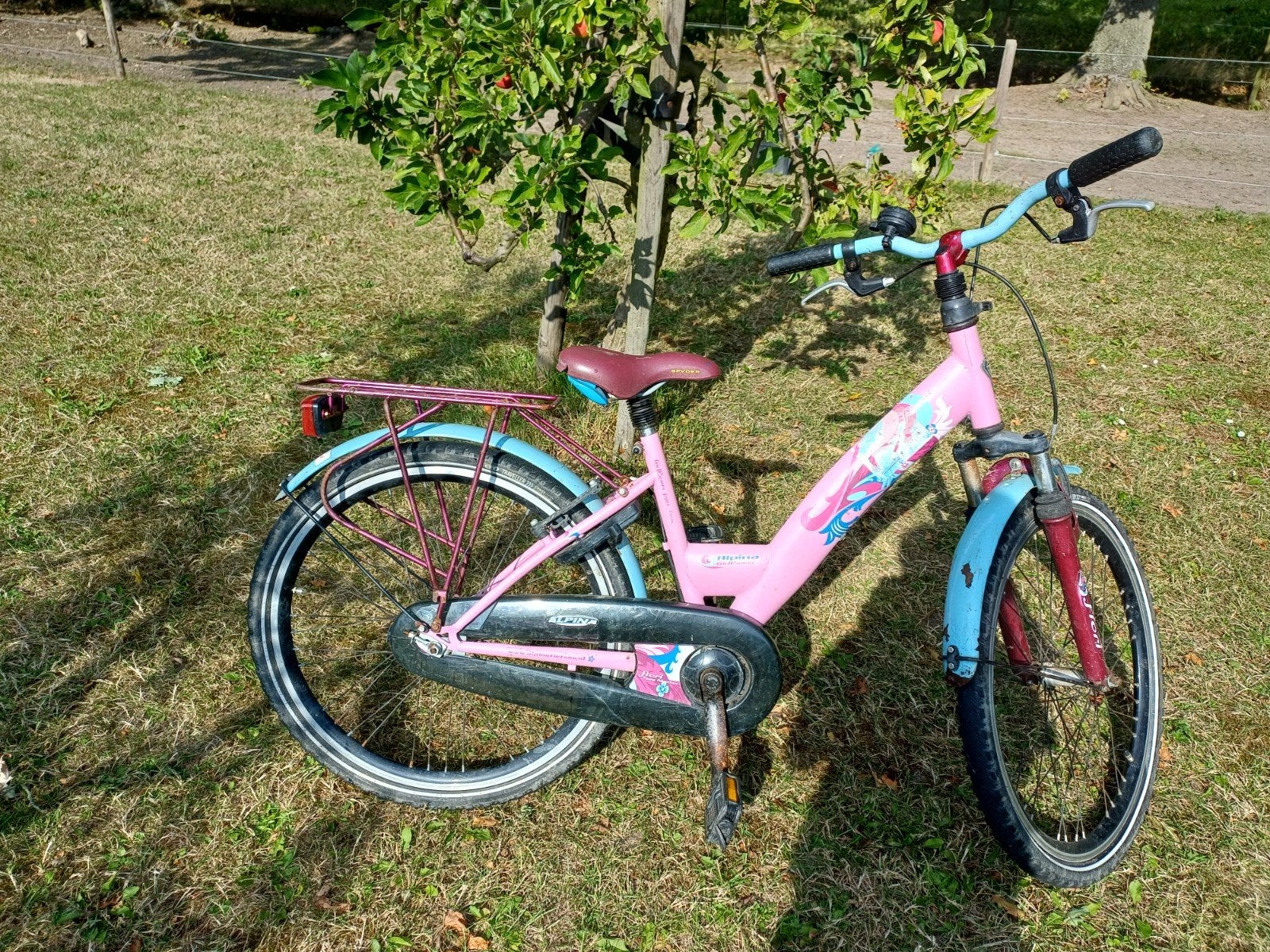 Meisjesfiets 24 inch Alpina Fiori, Ophalen, Gebruikt, 24 inch, Alpina