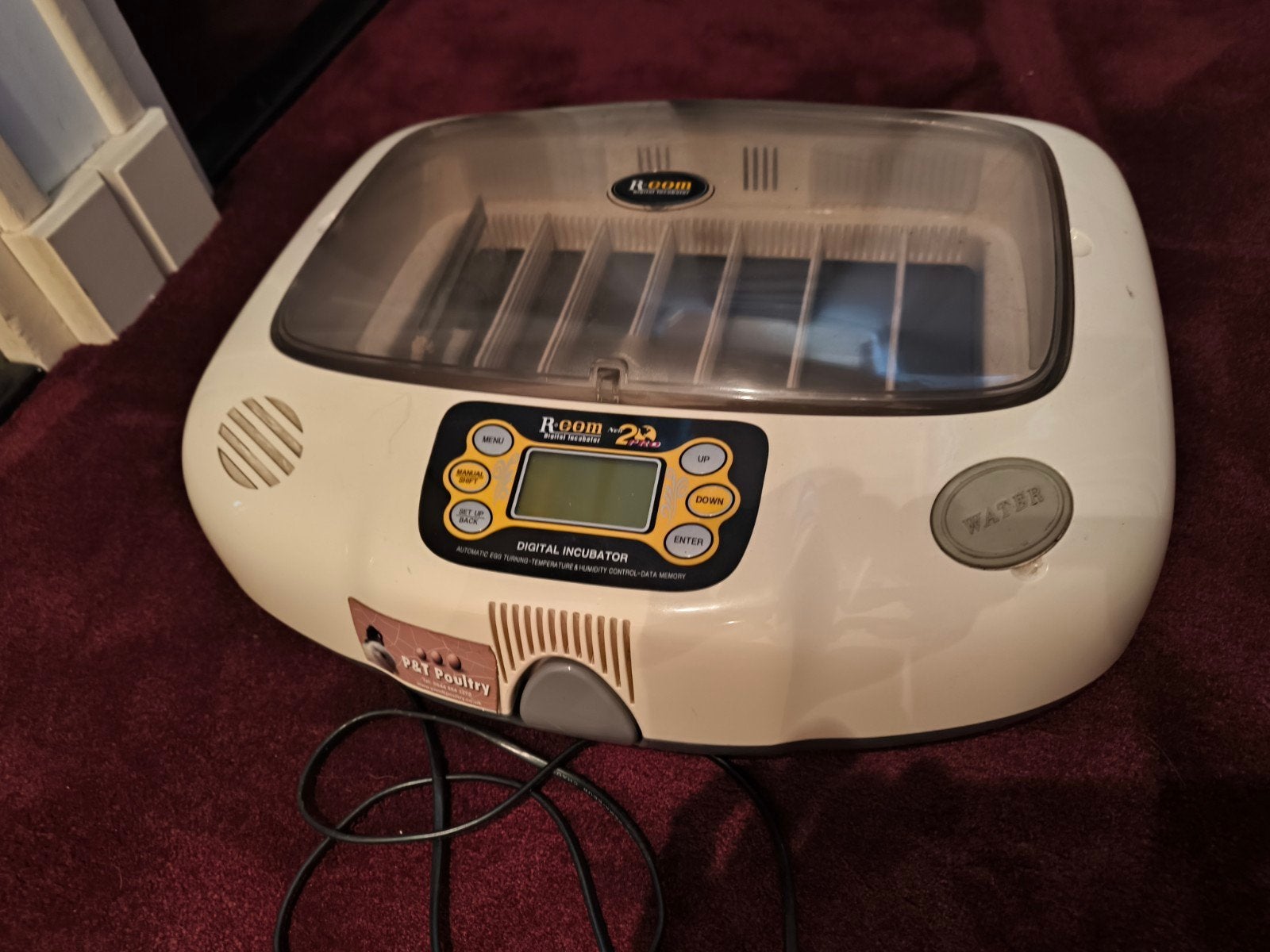 R com pro 20 automatische broedmachine, Geslacht onbekend, Kip