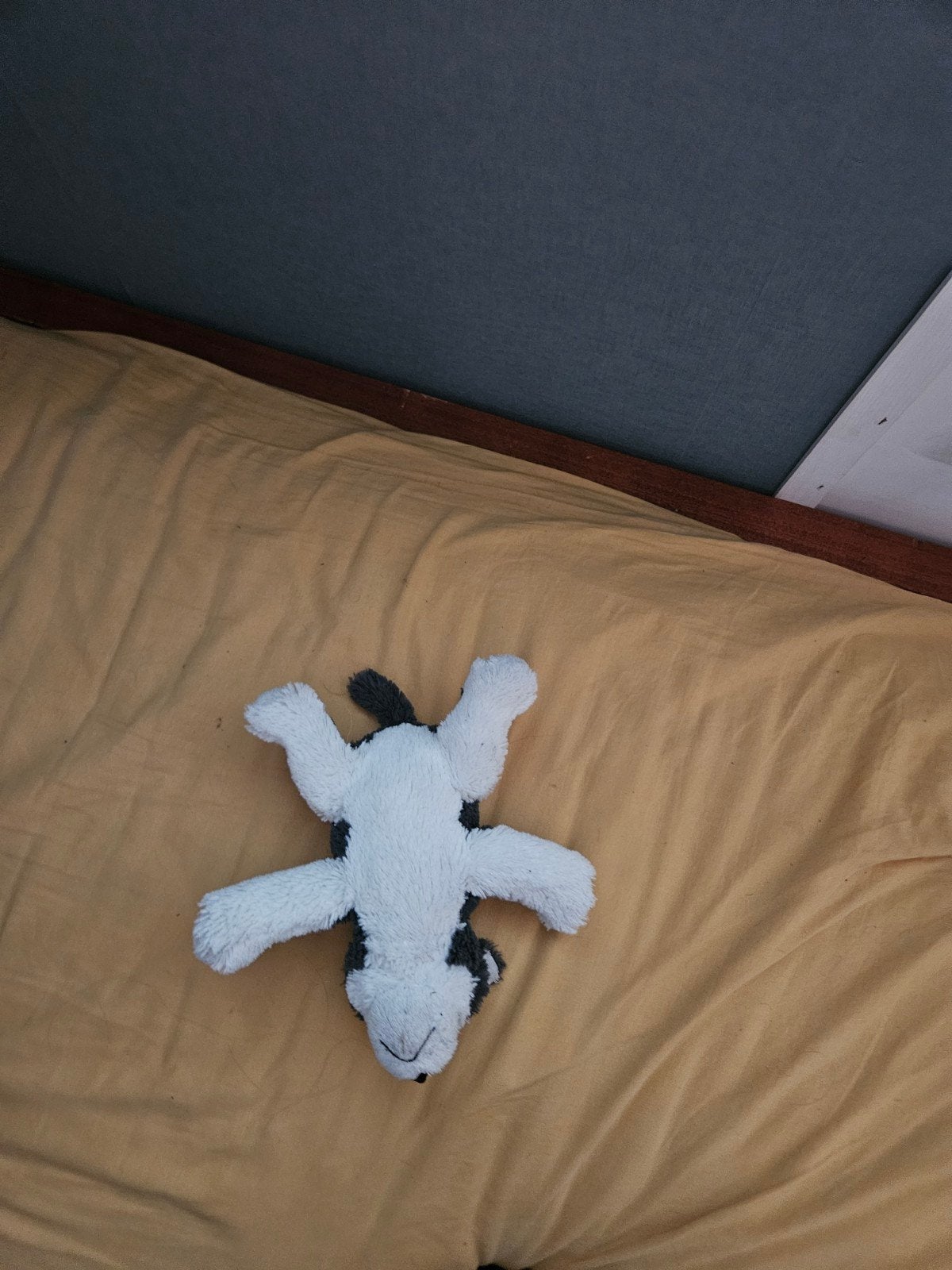 Schattige Husky Knuffel - Zo Goed als Nieuw, Ophalen, Grijs, Hond, Zo goed als nieuw