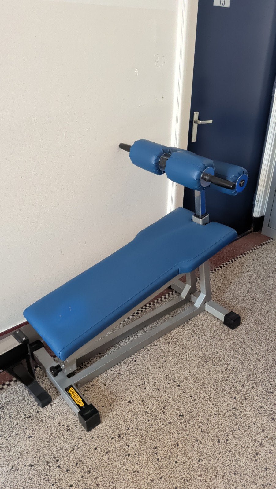 Technogym buikspierbank / fitnessbank, Ophalen, Gebruikt, Overige typen, Buik