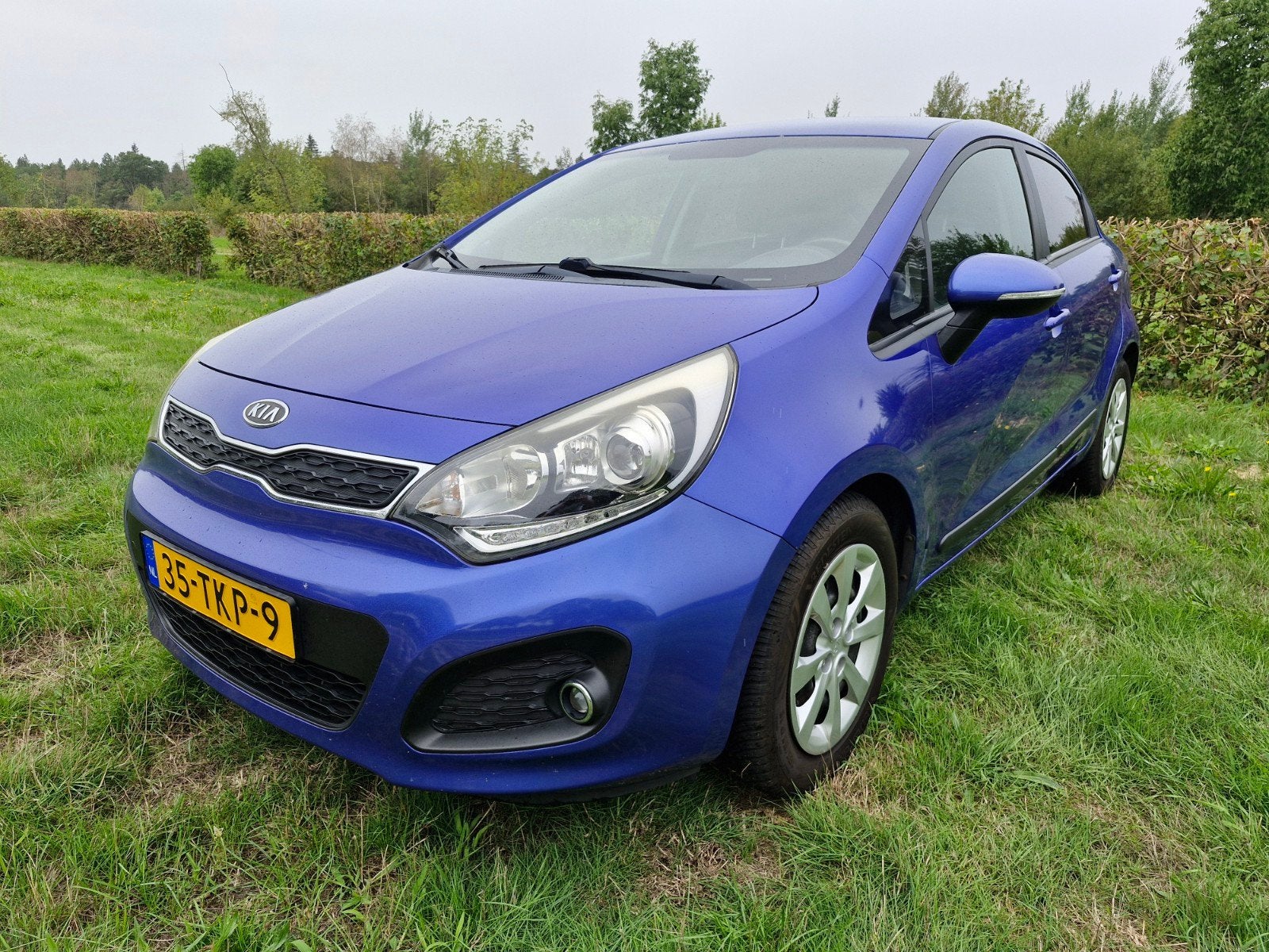 Kia Rio 1.2 I 5DRS 2012 Blauw, Auto's, 450 kg, 40 €/maand, 4 cilinders, Origineel Nederlands