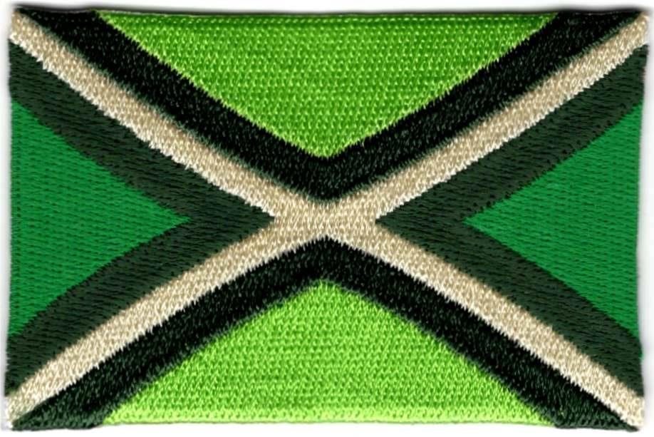Achterhoek vlag patch embleem #1, Verzenden, Nieuw, Shirt