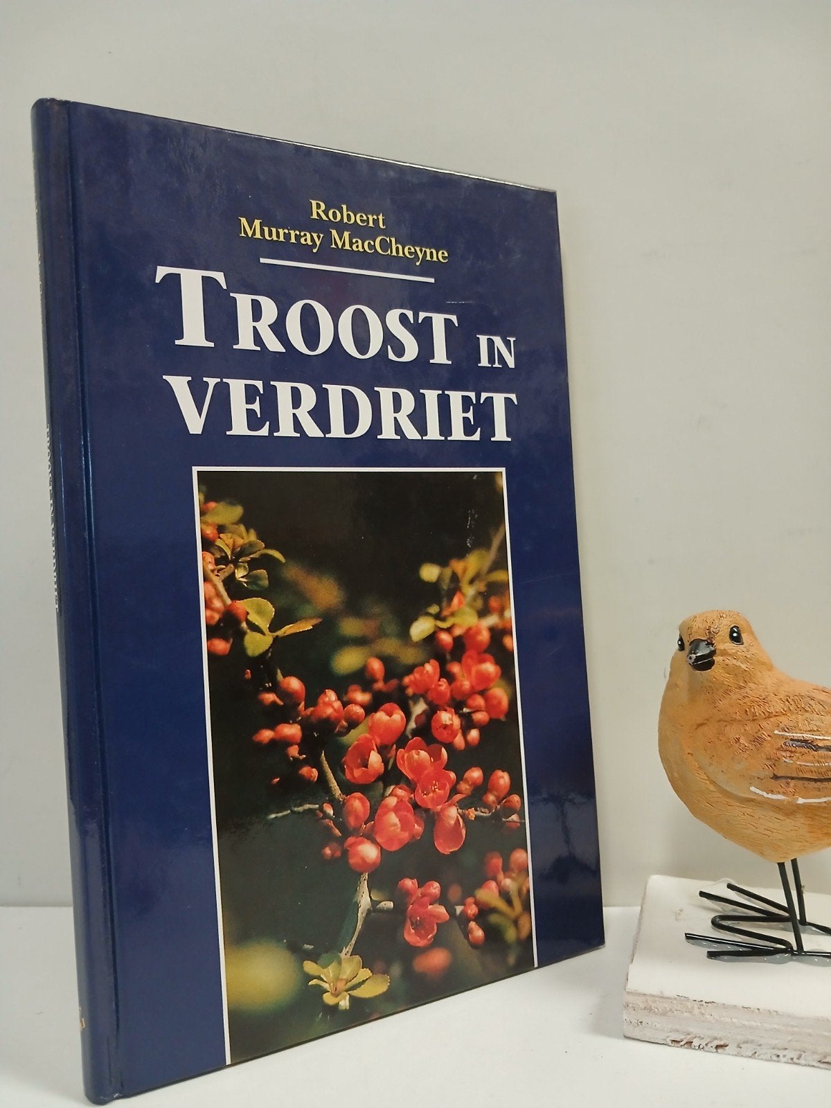 MacCheyne, Robert Murray; Troost in verdriet, Ophalen of Verzenden, Gelezen, Christendom | Protestants