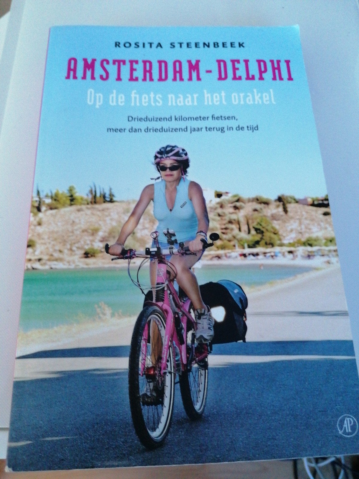 Rosita Steenbeek - Amsterdam-Delphi, Ophalen of Verzenden, Gelezen, Rosita Steenbeek
