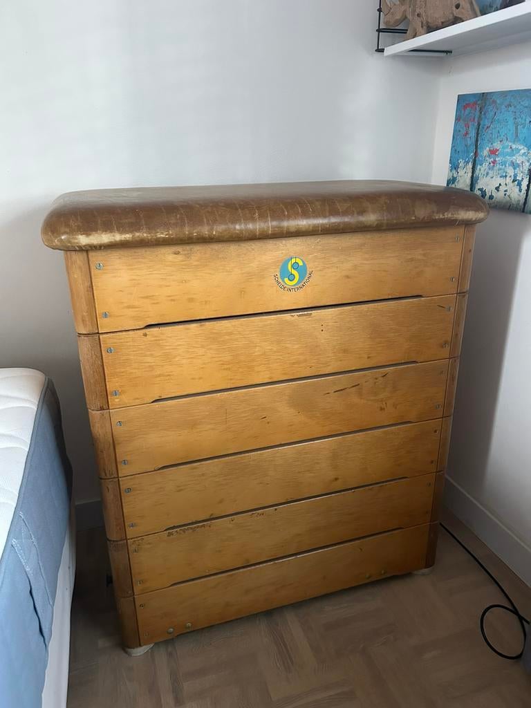 Vintage schelde turnkast gymkast, Ophalen