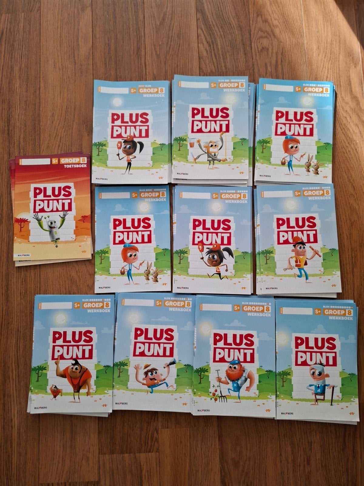 Pluspunt rekenen groep 8 werkboeken S+, Overige vakken, Malmberg, Nieuw, Ophalen of Verzenden